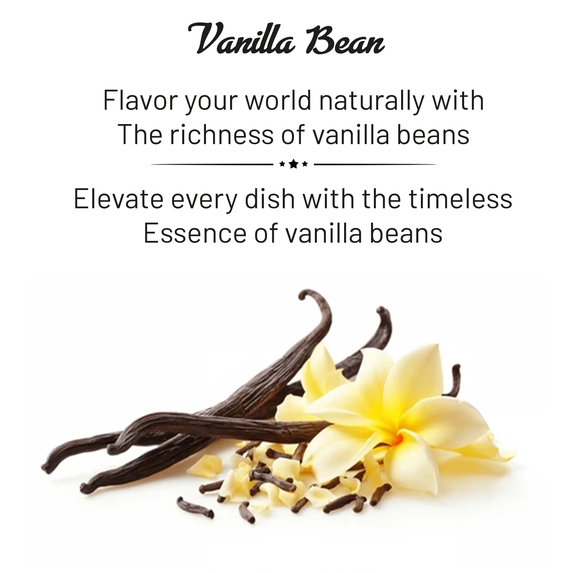Vanilla Bean -1 Piece - Image 5