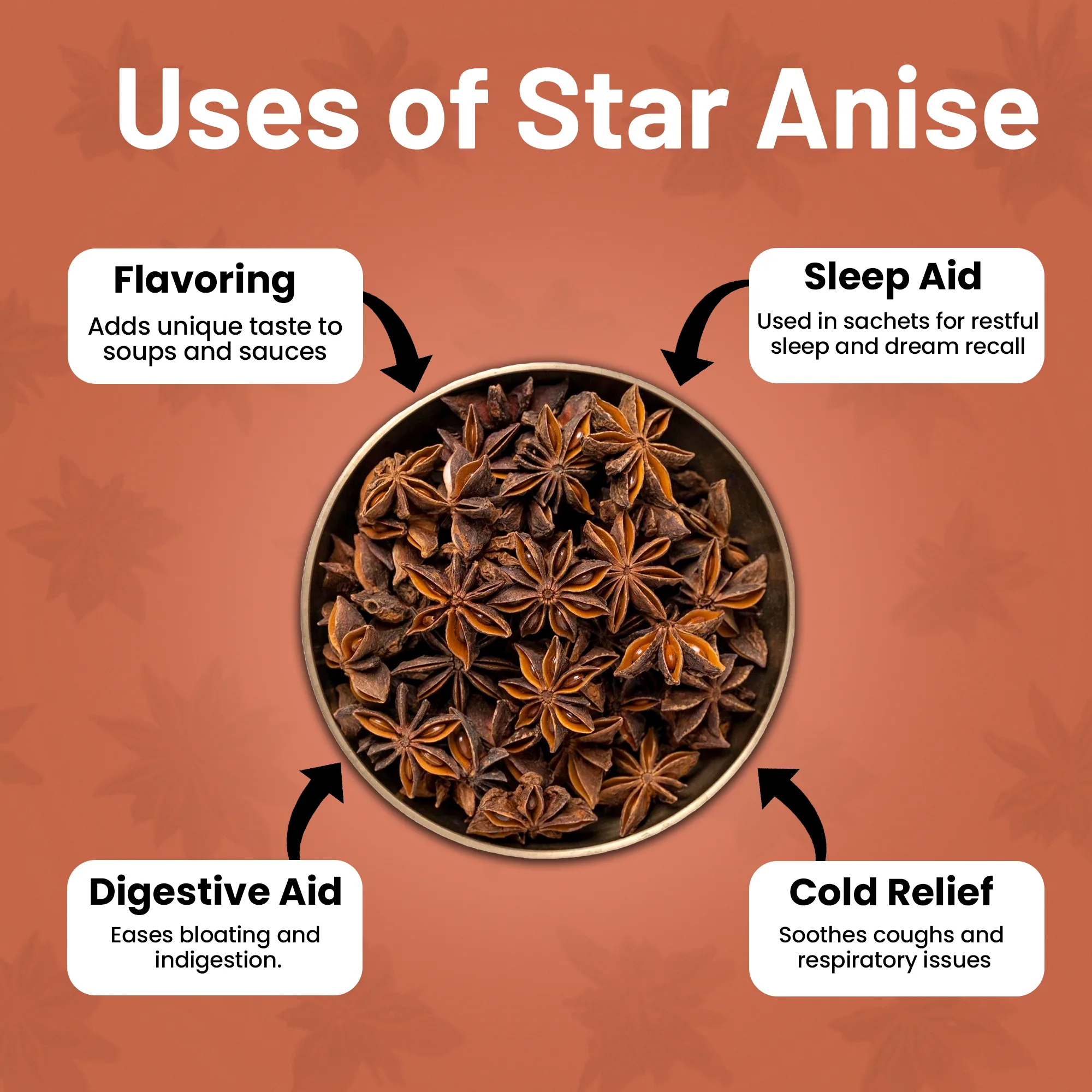 Staranise (चक्र फूल) - Image 6