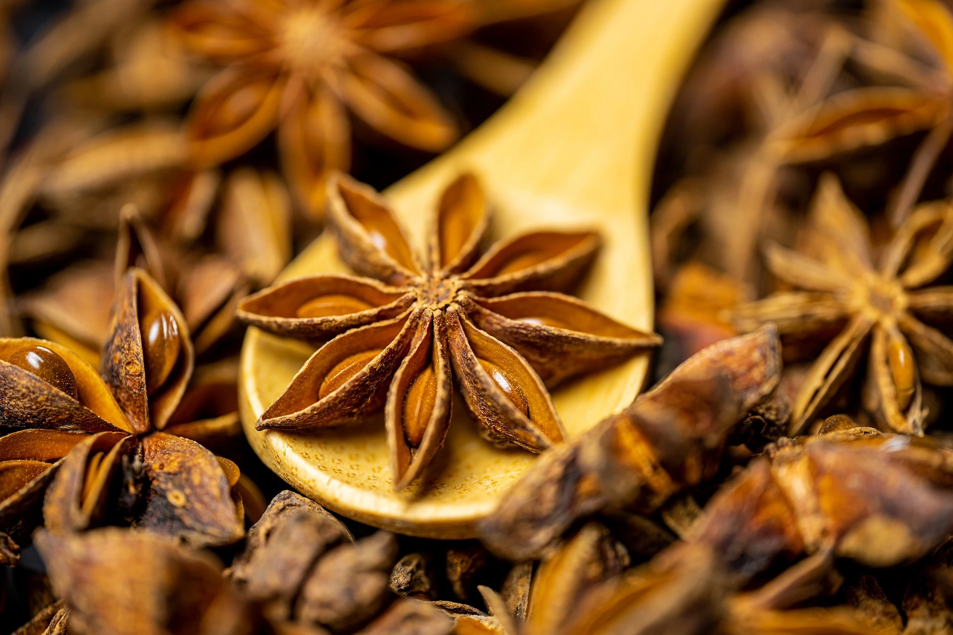 beautiful star anise