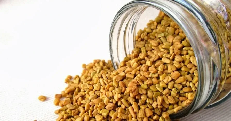 fenugreek seed benefits