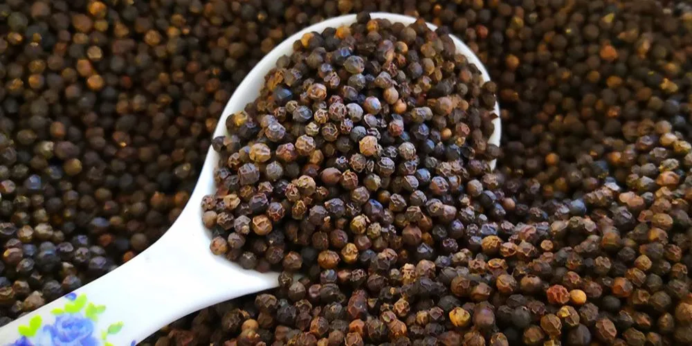 Black pepper seeds