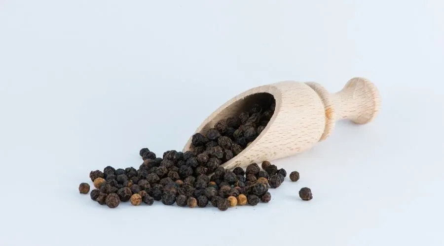 Benefits of black pepper
