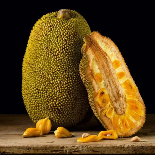 benefits of jackfruit chips