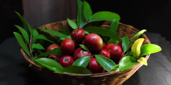 using kokum in cooking