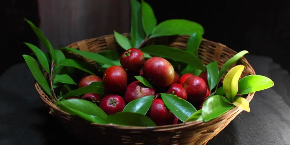 using kokum in cooking