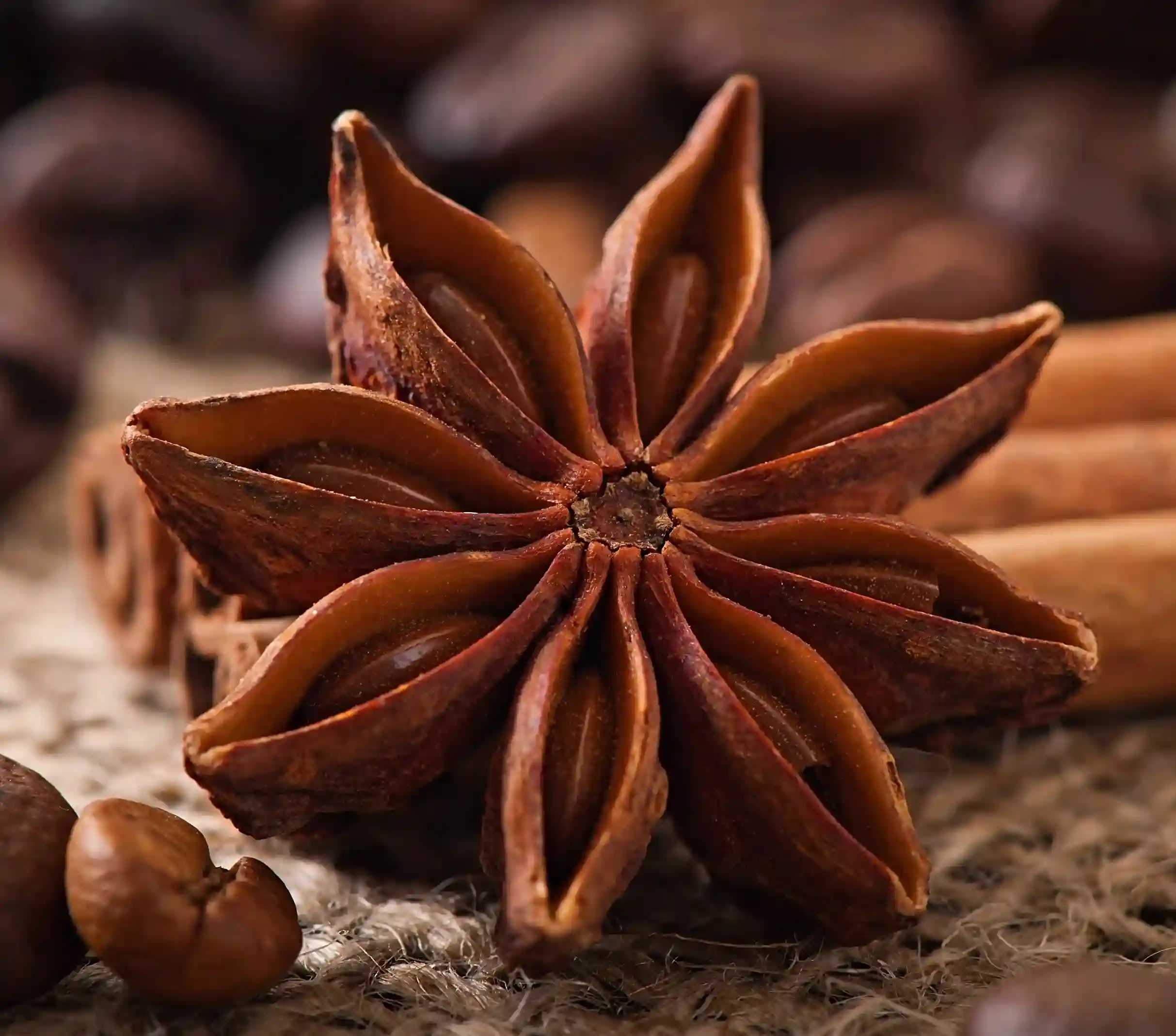 star anise