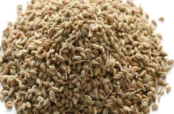 Fresh Carom seeds / Ajwain 1kg - Kerala Spices
