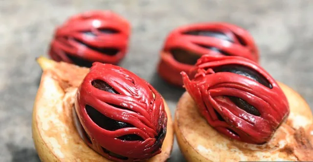 Authentic Nutmeg 1kg Jumbo