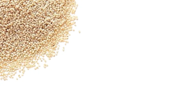 Chicken Curry with Poppy Seeds