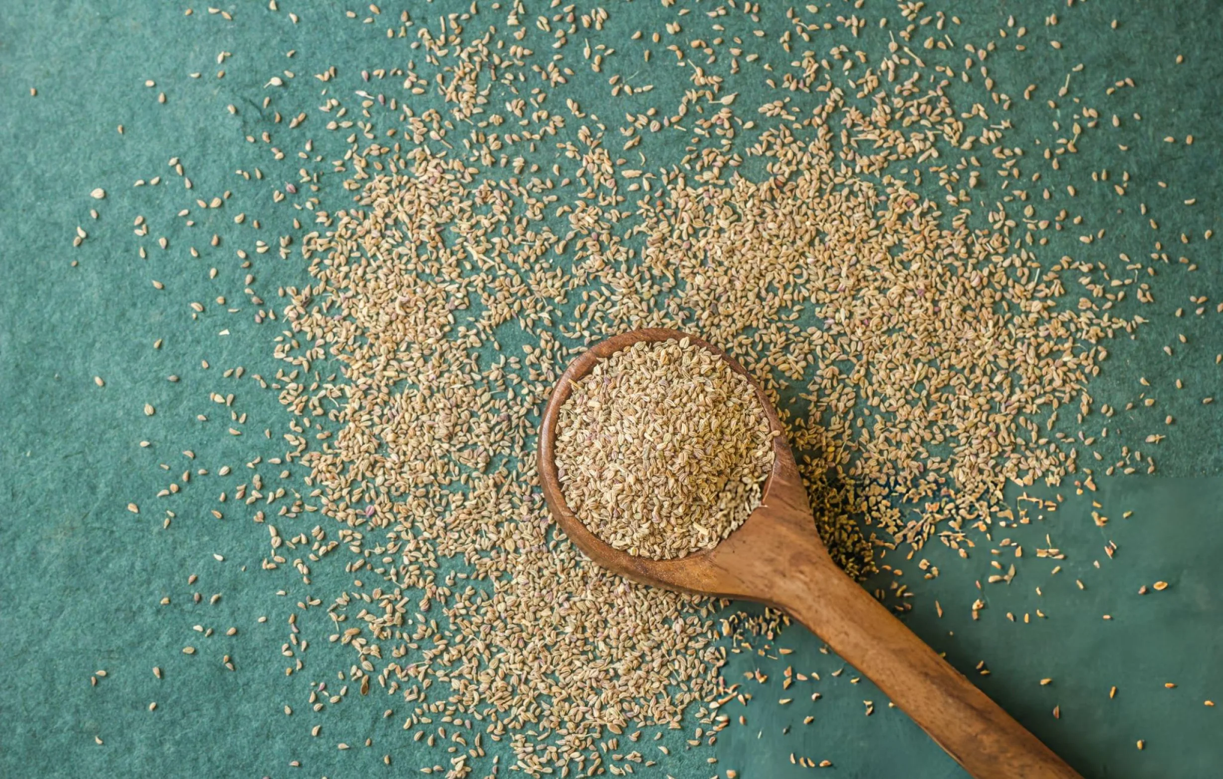 Onedrop Wellness Ajwain Herbal Drop